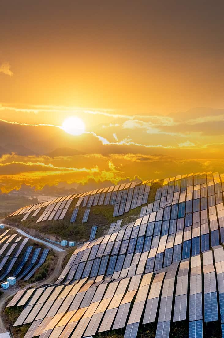 2024: The Year of ESG, non-financial reporting, and sustainability